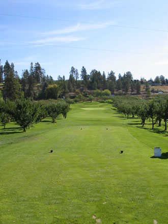 Orchard Greens Golf Club - photo 4