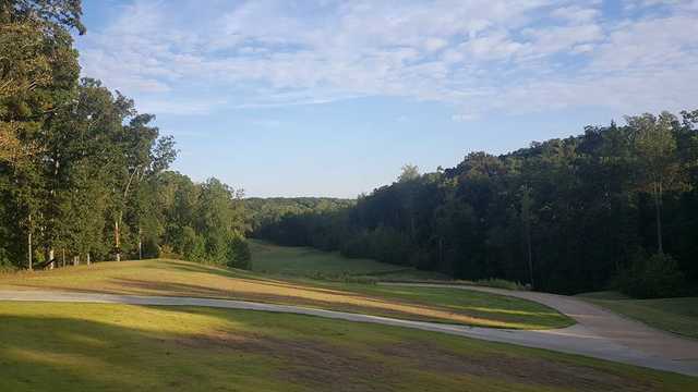 Village Creek 1 - photo 4