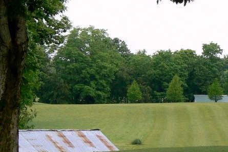 Angel Hill Golf Course - photo 4