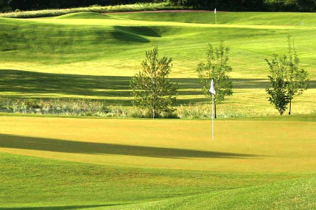 Willow Run Golf Course - photo 3