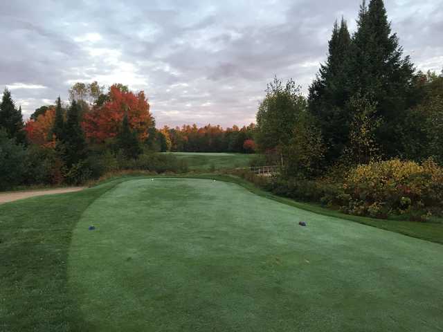 Trout Lake Golf Club - photo 3
