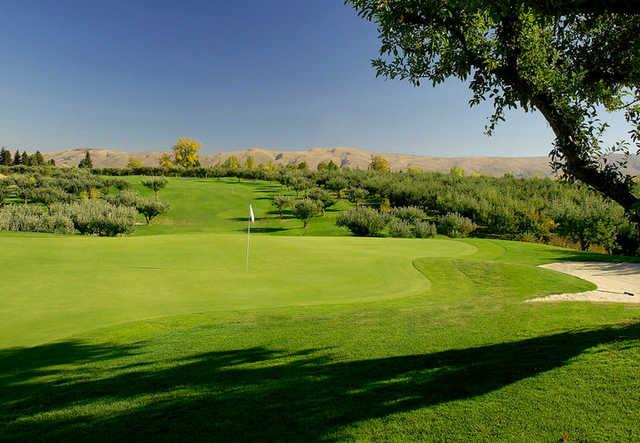 Apple Tree Golf Course - photo 4