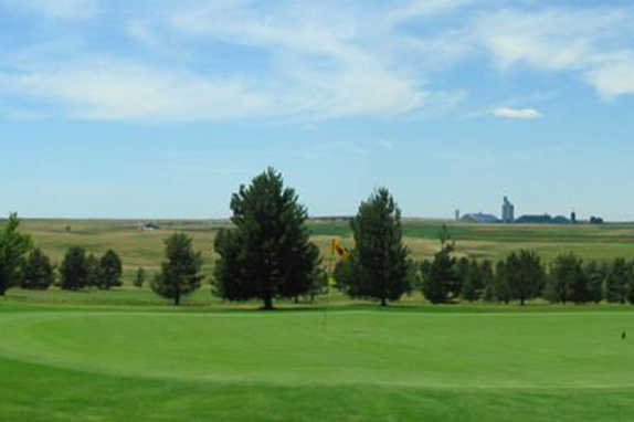 Sugar Hills Golf Club - photo 3