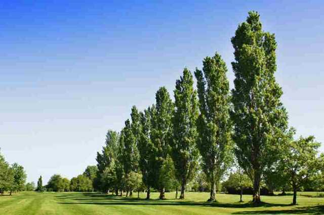St Neots Golf Course - photo 3