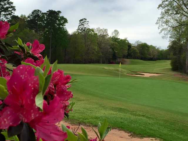 Dancing Rabbit Golf Club - Azalea Course - photo 2