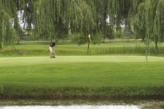 The Club at Silver Lake - photo 3