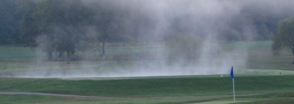 Quail Valley - photo 4