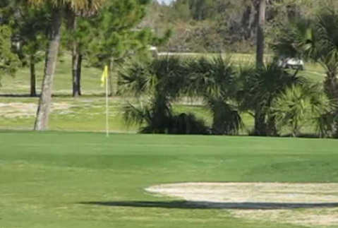 Tarpon Springs Golf Course - photo 5
