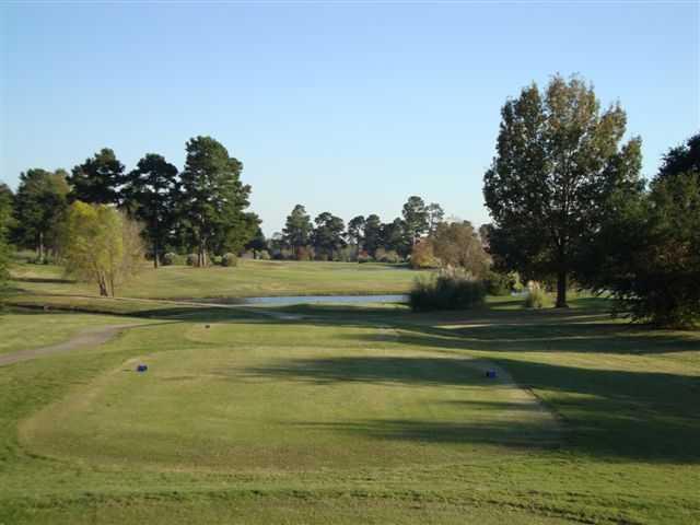 Palmetto - photo 3