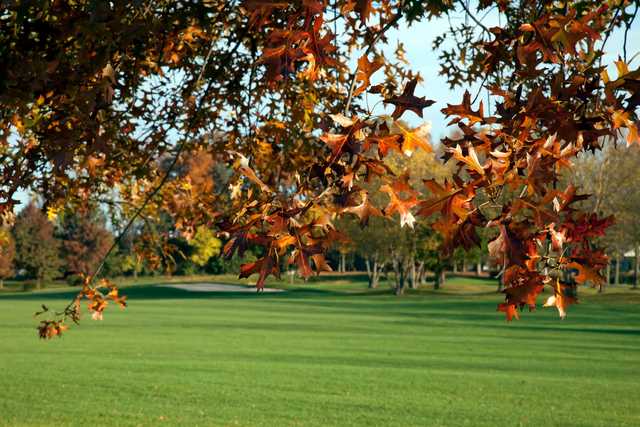 Foxchase Golf Club