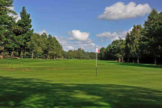 Hayston Golf Club - photo 3