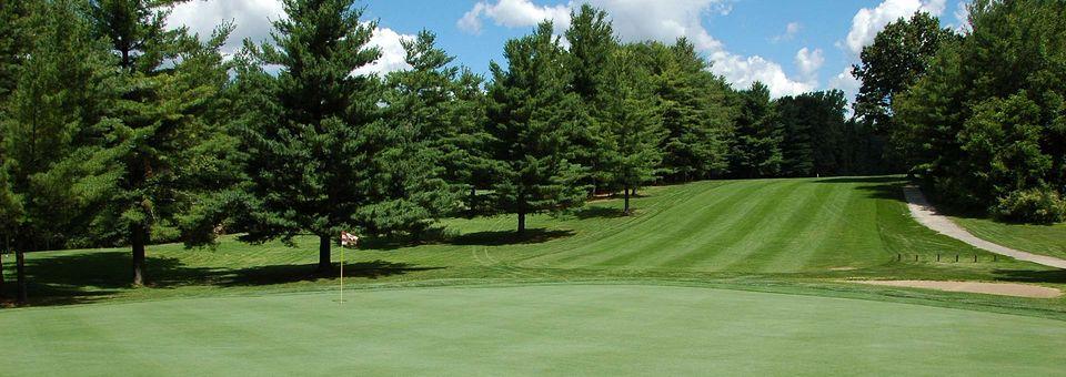 Pine View Golf Course - photo 4