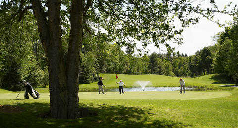 Pinestone Resort - photo 2