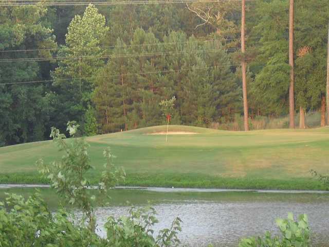 Southern Landings Golf Club - photo 3