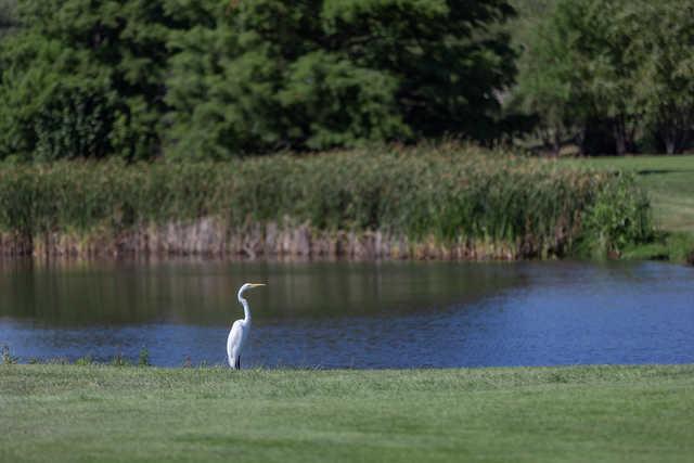 Glendale Lakes Golf Club - photo 3