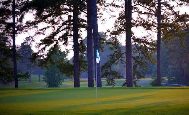 Forest Oaks - photo 7