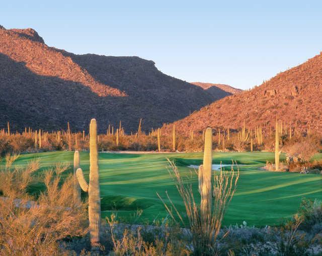 The Gallery Golf Club - South Course - photo 4