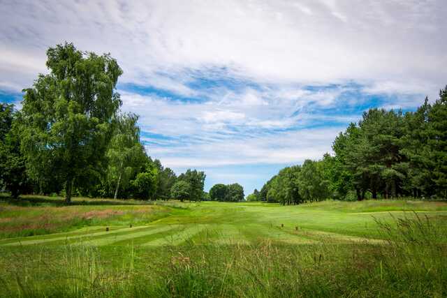 Trentham Park Golf Club - photo 7