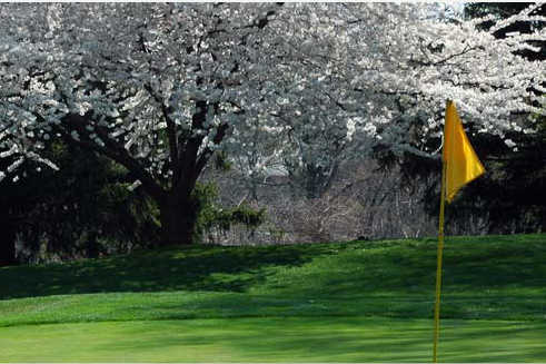 Woodmont Country Club - photo 6