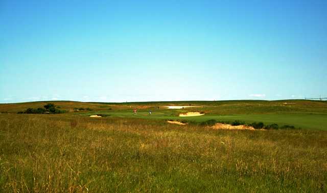 Wild Horse - photo 2