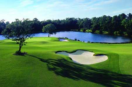 Ritz-Carlton Members Golf Club - photo 3