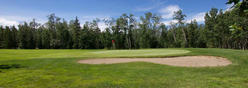 Pipestone Golf Club - photo 6