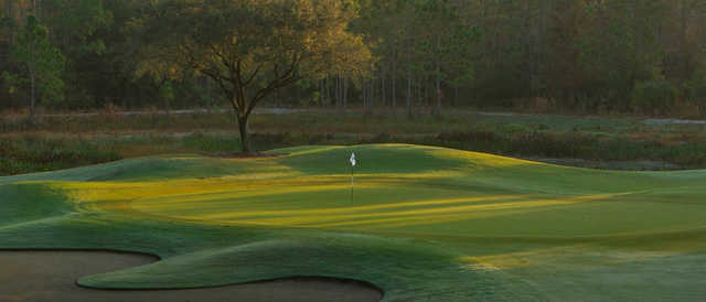 Shadow Wood Country Club - photo 3