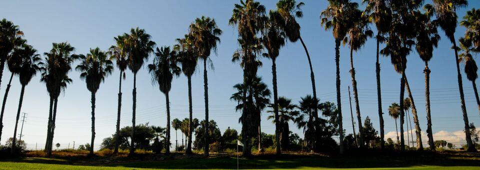 Dad Miller Golf Course - photo 3