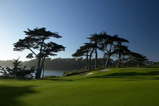 TPC Harding Park Golf Club - photo 2