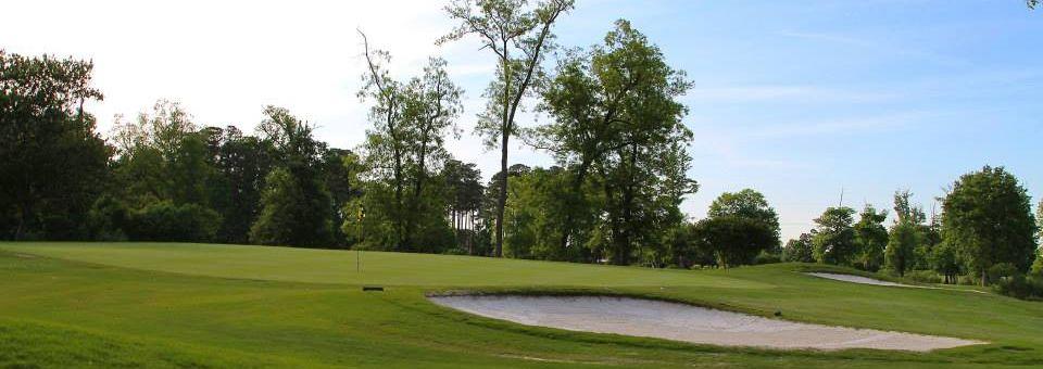 Honey Bee Golf Club - photo 5