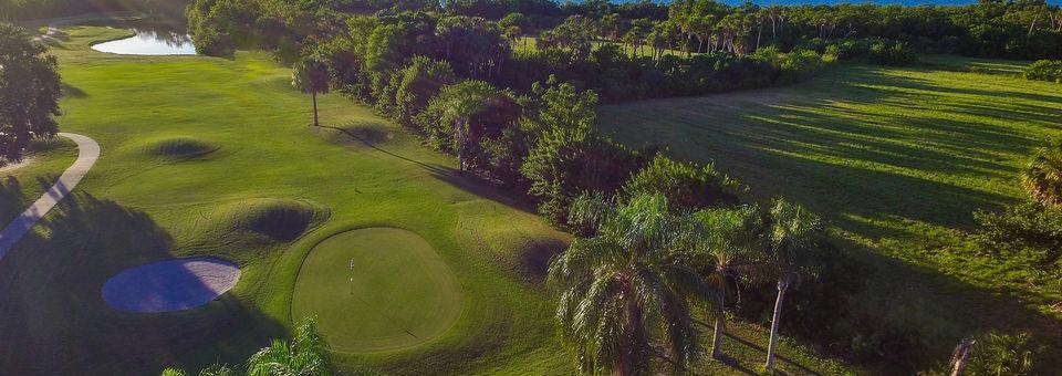 Terra Ceia Bay Golf Club - photo 6