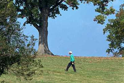 McIntyre Park Golf Course - photo 1
