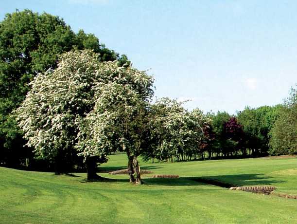 Bradley Park Golf Course - photo 7