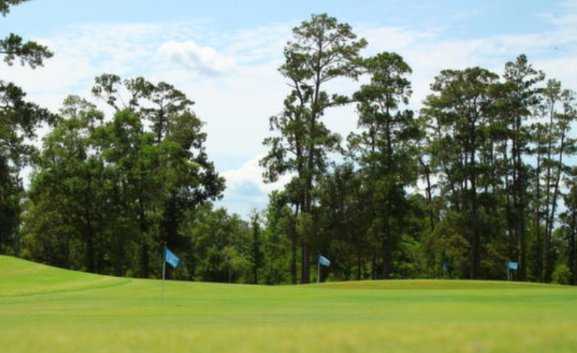 Idylwild Golf Club - photo 2