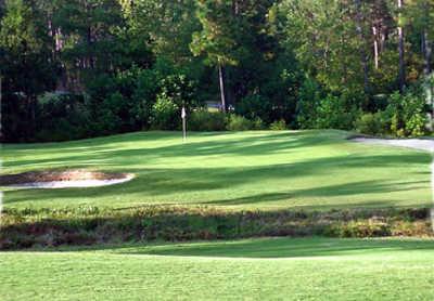 Pinewild Country Club of Pinehurst - photo 8