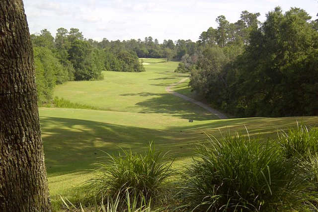Eglin Golf Course - Eagle - photo 5