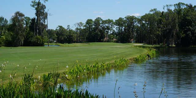 Eagle Ridge Golf Club - Ft. Myers - photo 6