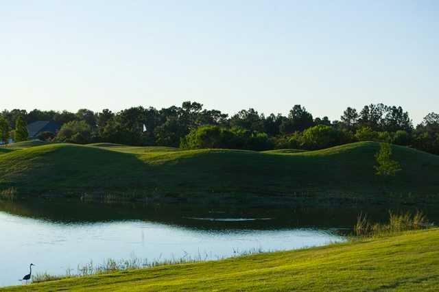 Tampa Bay - 9 Hole - Par 3 Short Course - photo 2