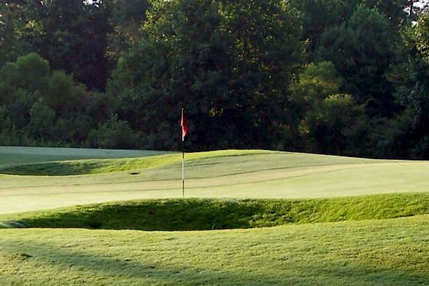 The Fred Richards Golf Course - photo 2