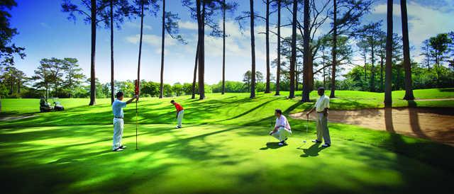 Gold Course at The Golden Horseshoe - photo 2