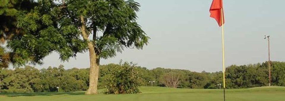 Pine Springs Golf Club - photo 4
