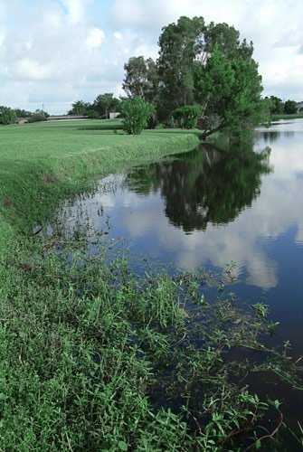 Seminole Lake Country Club - photo 5