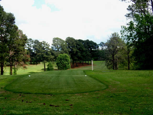 Mineola Country Club - photo 3