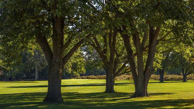 Indian Boundary Golf Course - photo 4
