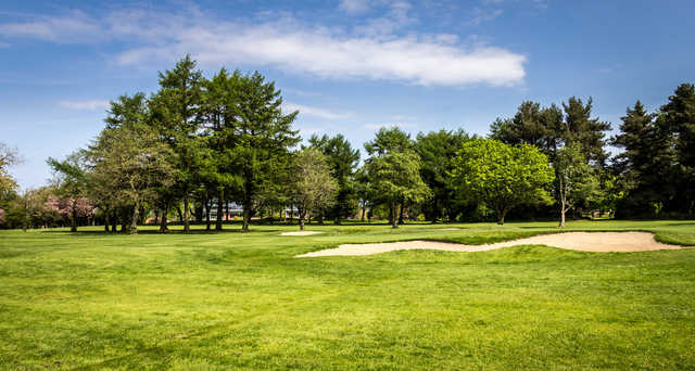 Shandon Park Golf Club - photo 4