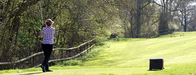 Deanwood Park Golf Course - photo 6