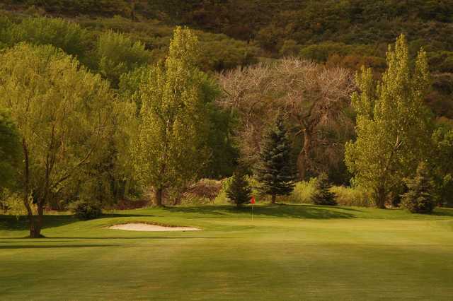 Spanish Oaks Golf Course - photo 4