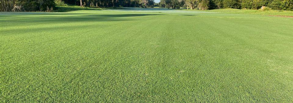 Blue Cypress GC-Jacksonville's Premier 9 Hole Facility - photo 4