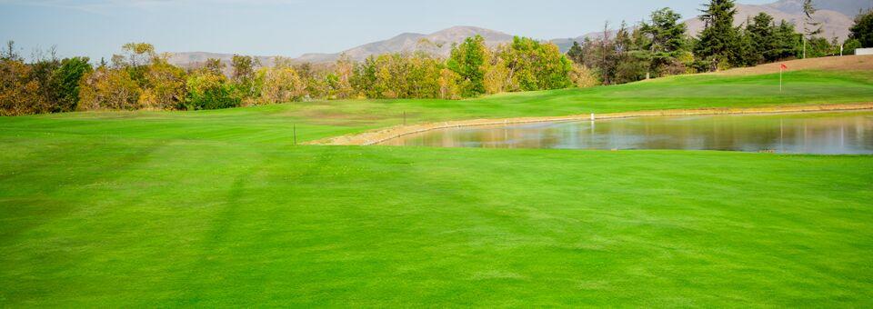 Twin Creeks Golf Course - photo 4