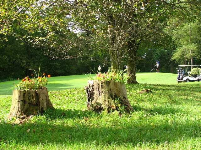 Valley Green Golf & Country Club - photo 3